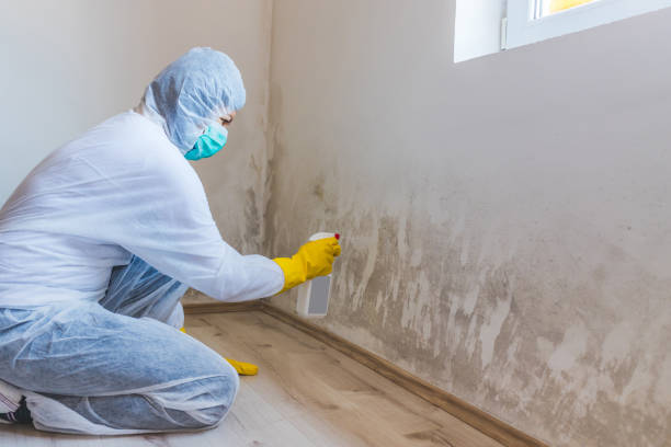 Black mold inspection in Lusby