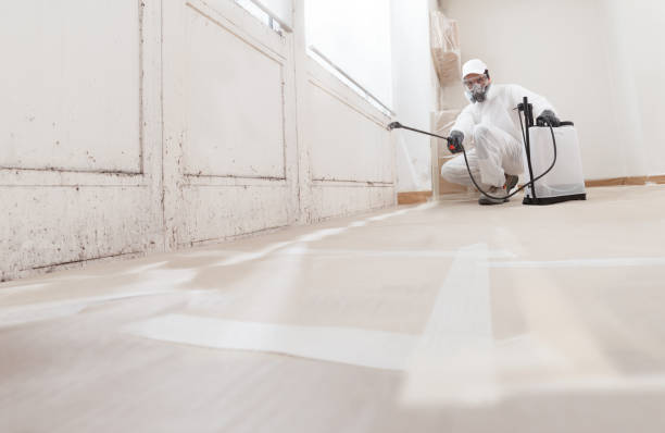 Black mold remediation team in Lusby